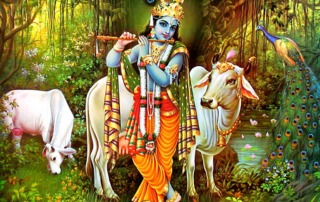 Lord Krishna