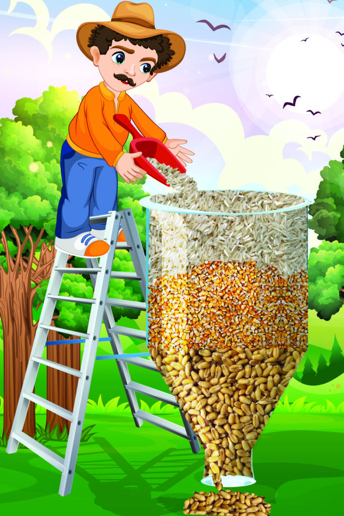 Man pouring rice, wheat coming out