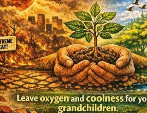 SAVE & PLANT TREES